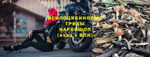 молекула духа Куйбышев