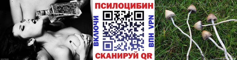 Псилоцибиновые грибы MAGIC MUSHROOMS  OMG tor  Мценск  дарнет шоп 